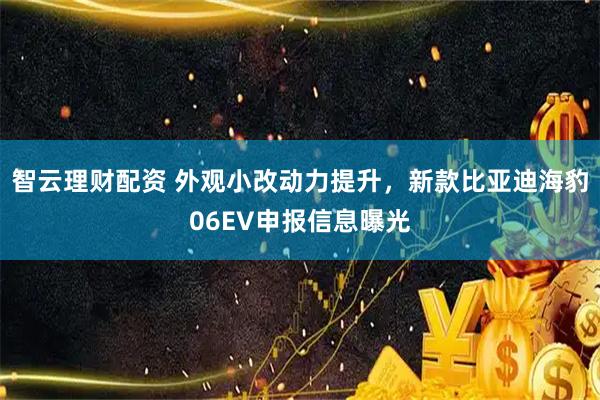 智云理财配资 外观小改动力提升，新款比亚迪海豹06EV申报信息曝光