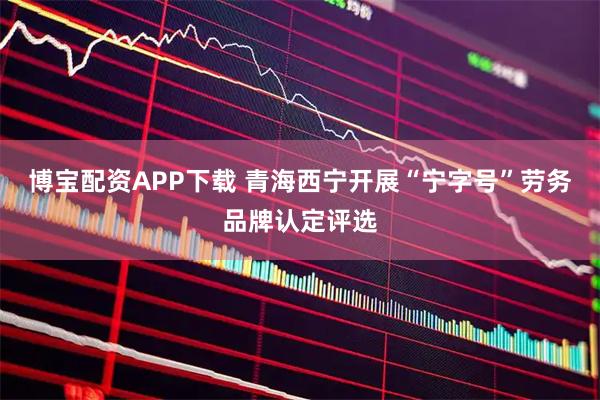 博宝配资APP下载 青海西宁开展“宁字号”劳务品牌认定评选
